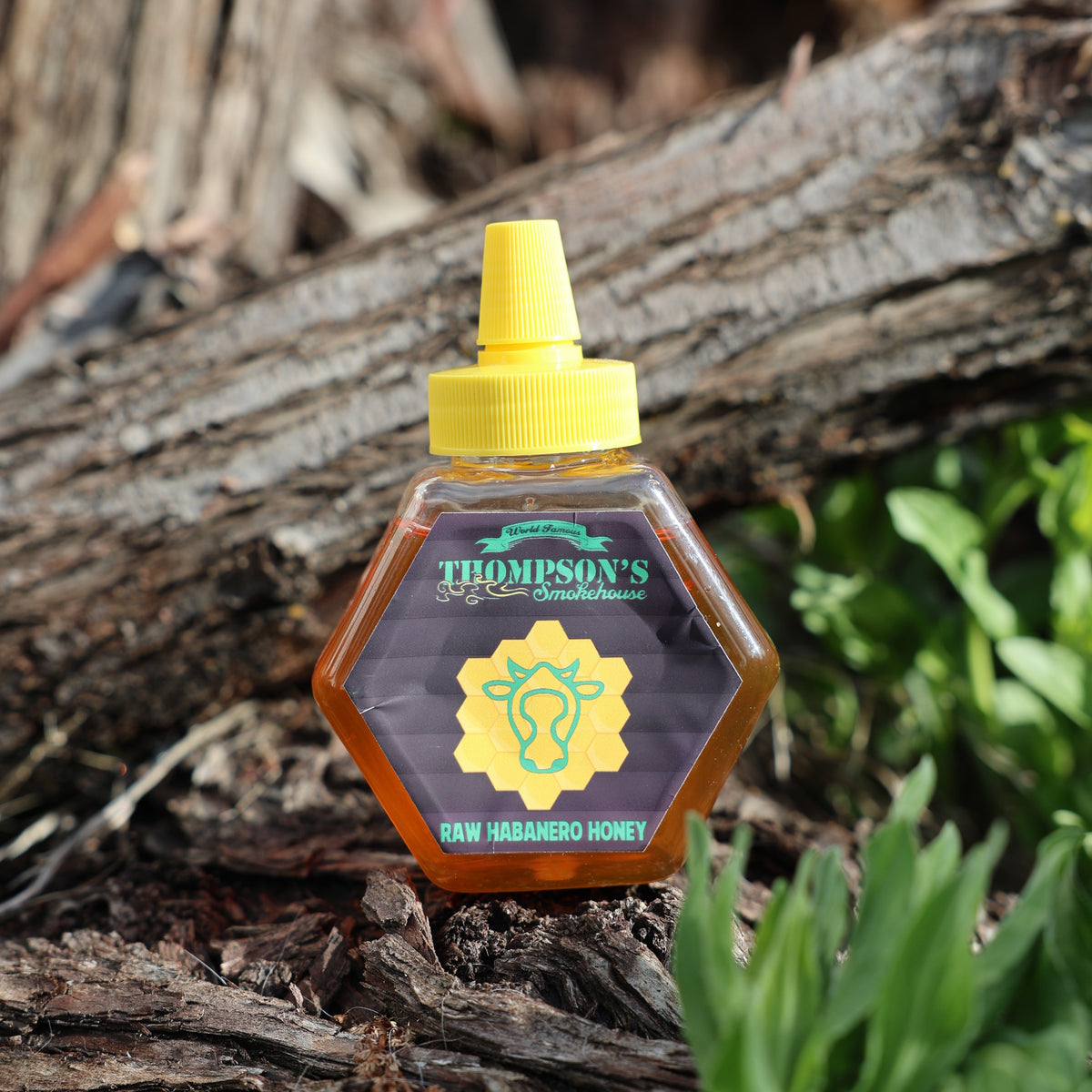 8oz Thompson's Raw Habanero Honey