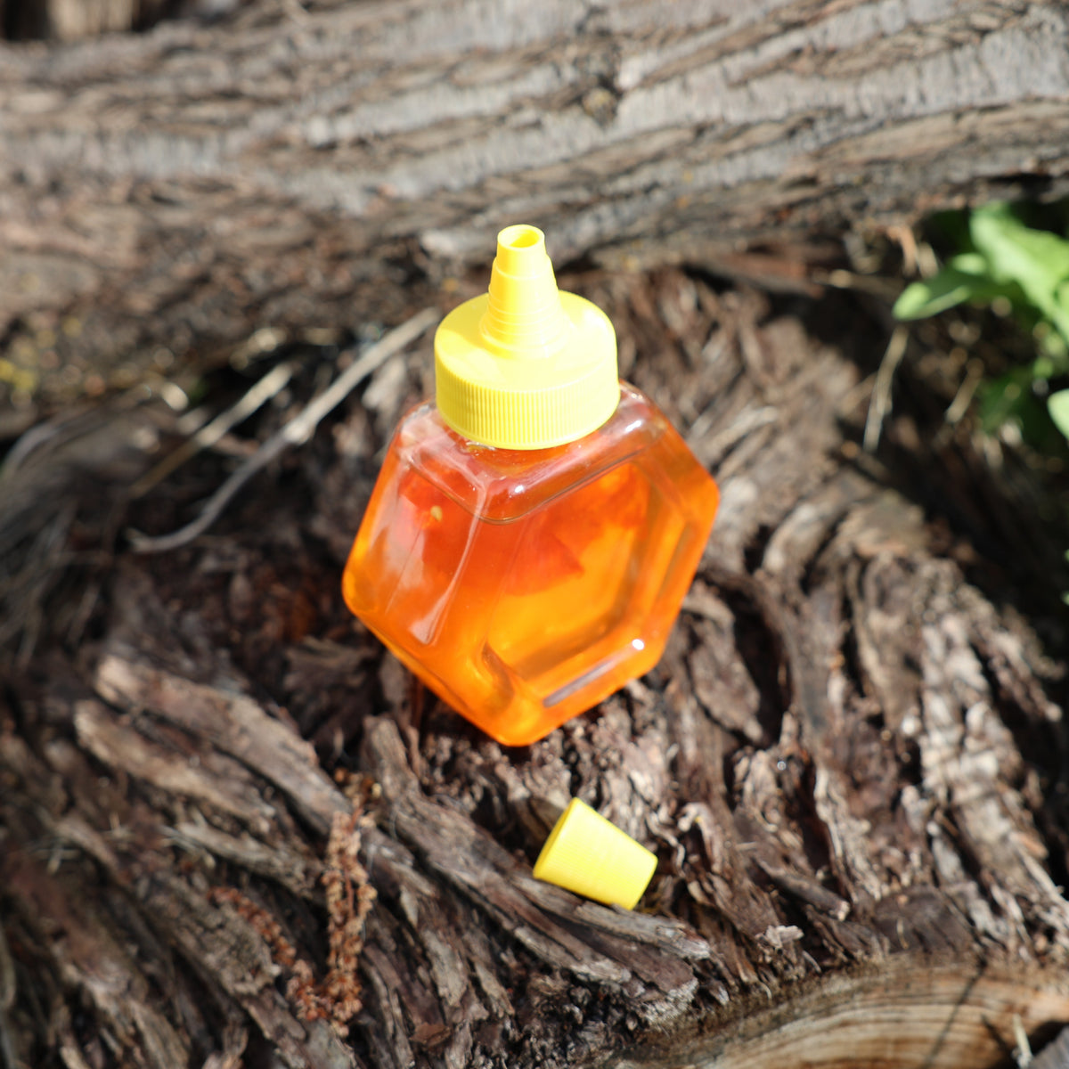 8oz Thompson's Raw Habanero Honey